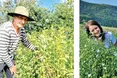Вирощують культури предків