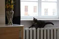 У Львові відновили теплопостачання