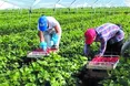 Підприємства області відчувають кадровий голод