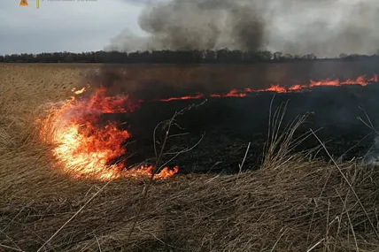 Через паліїв сухої трави на Львівщині згоріло 12 га землі