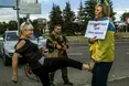 У парламент ідуть патріоти, диваки і негідники