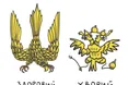 Як відрізнити хворого птаха від здорового?