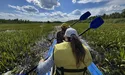 «Поліські Джунглі»