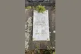 У Львові перепоховають останки Путіна