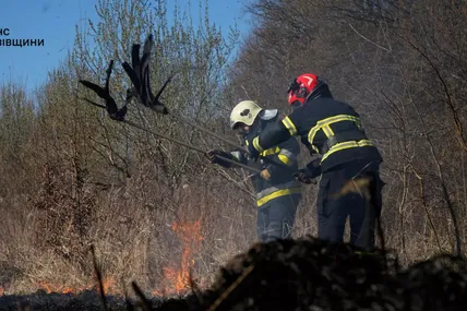 Підпали сухої трави завдають величезної шкоди Україні. Фото ГУ ДСНС у Львівській області.