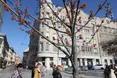 Львів стартує з весняним озелененням: мешканці вже долучились до акції «Подаруй місту дерево»