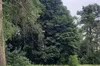 У Гряді, що на Львівщині, створять перший сквер