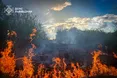 За добу на Львівщині зафіксували понад 10 стихійних пожеж
