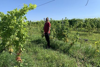 «Це міф, що на Львівщині не можна вирощувати виноград для вина. Було б бажання»