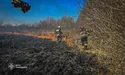 Через паліїв сухої трави ледь не загинула жінка…