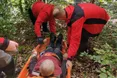 В Стрийському районі, що на Львівщині, під час збирання ягід знепритомнів 56-річний чоловік