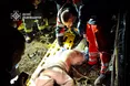 На Самбірщині рятувальники вивільнили травмованого водія