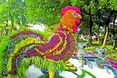 «Казкові» квіти на «Співочому полі»