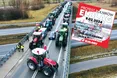 Польські фермери — проти «напливу зерна з України до ЄС»