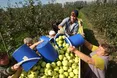 «Як тільки продавець почула українську, почала кричати, що я злодійка»