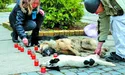 Під мерію Ужгорода принесли мертвих собак