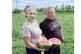 «Херсонські» кавуни «прописалися» на Жовківщині