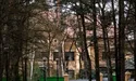 «Ющенка серед безхатченків не бачили?»