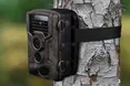 Фотопастки проти сміттєвих порушників: у Львівській громаді встановлять ще 6 камер