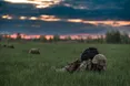 У Раді підтримали збільшення штрафів за ухилення від мобілізації