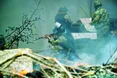 За антитерористичні листівки — розстріл на місці