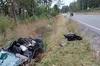 У Львівському районі сталась ДТП за участю легковика і корови: є загиблі і постраждалі