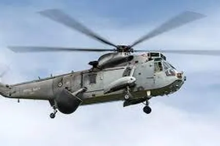 Sea King. Фото: Depositphotos
