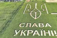 «З дрона добре видно блакитне небо і жовтий соняшник»