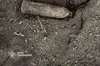 На Золочівщині у городі знайшли старий снаряд: деталі