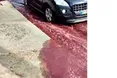 Вино лилося вулицями (ВІДЕО)