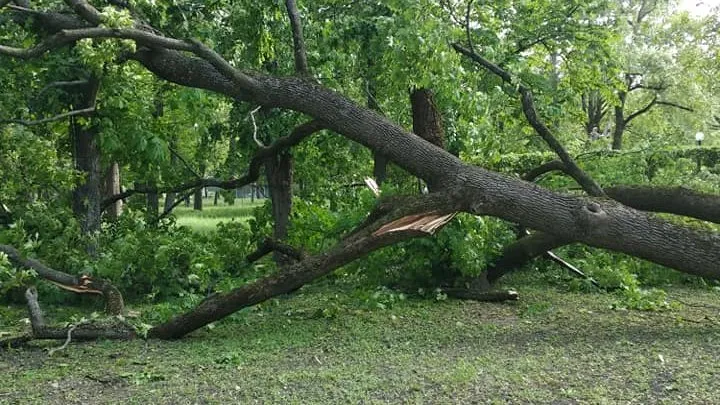 Фото з відкритих джерел 