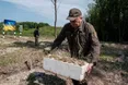 На Львівщині висадили 38 тисяч молодих дерев (ФОТО)