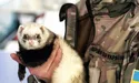 На терапію — у зоопарк
