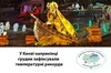 У Києві наприкінці року зафіксували три температурні рекорди