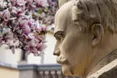 Біля Дому Франка розпускається магнолія