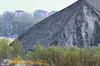 Польща пропонує постачати електроенергію Україні зі своїх ТЕС