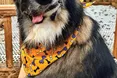 Не потворний, а милий…