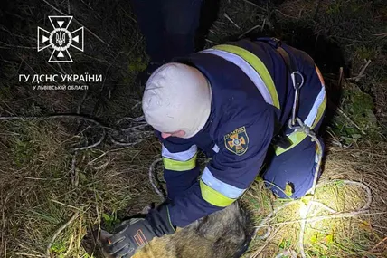 Собака. Фото: Головне управління ДСНС України у Львівській області