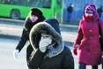 Не тримайте ноги у холоді, а шлунок — у голоді!