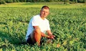 Львівські лани дають смачні кавуни