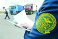 «Усі вантажні авто митники мають фотографувати. Але „фокусники“ знаходять вихід…»