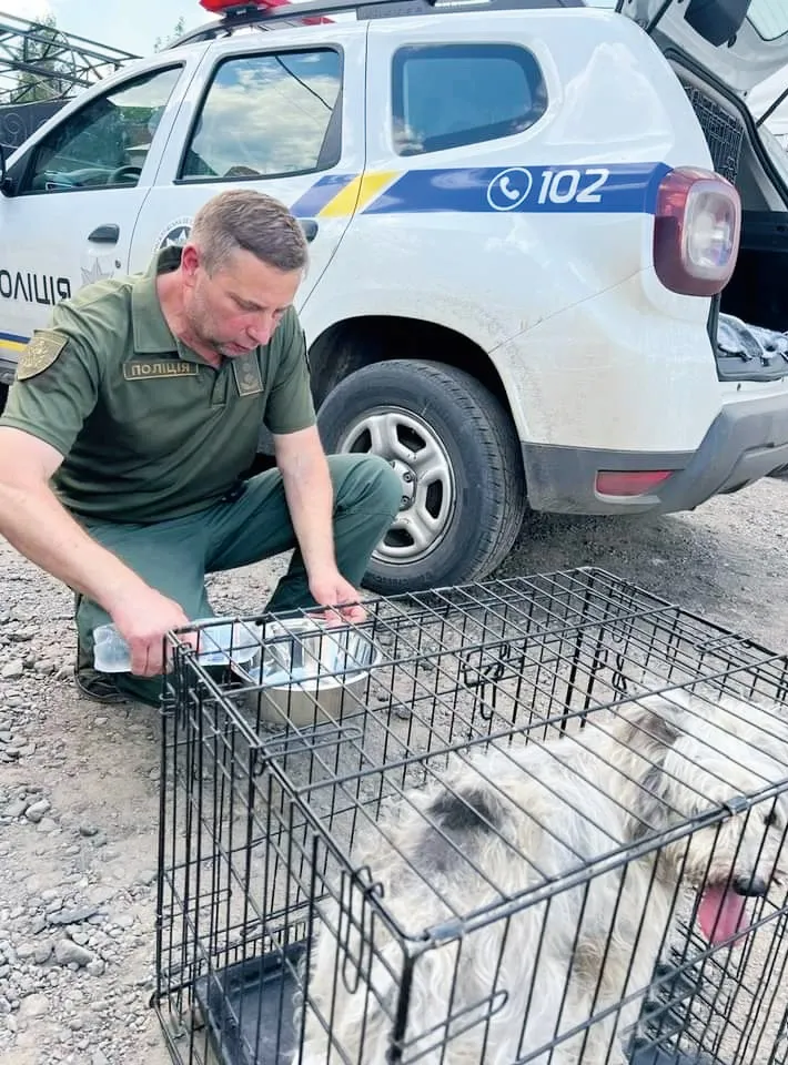Поліцейські рятують собак від спраги.