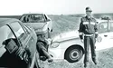 ДАІ своїх не видає