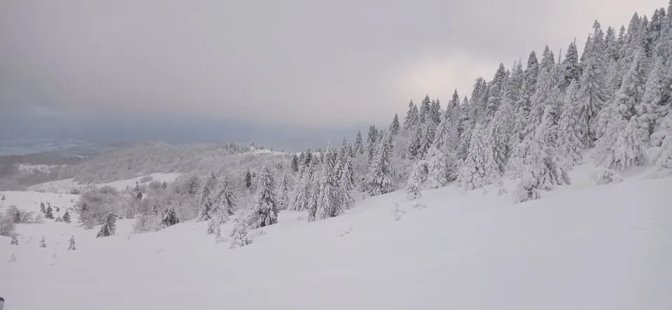 Фото Галини Ткачук