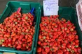 Полуниця із Закарпаття — 145−180 гривень