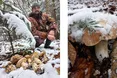 З-під карпатського снігу визирають гриби