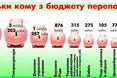 Поліцейський бюджет