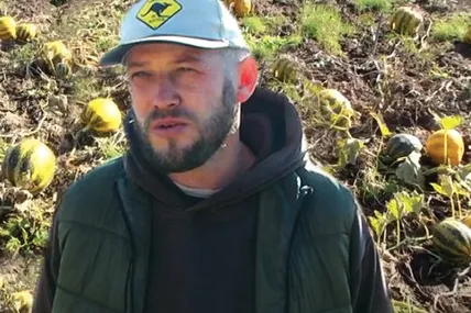 У Богдана Федорчука нинішнього року добре вродили гарбузи. Фото – Хмельницький Суспільне.