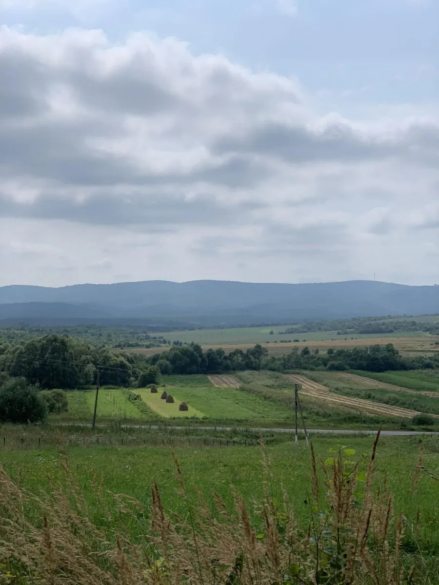 Краєвид