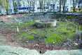 На місці скверу — бензозаправка?